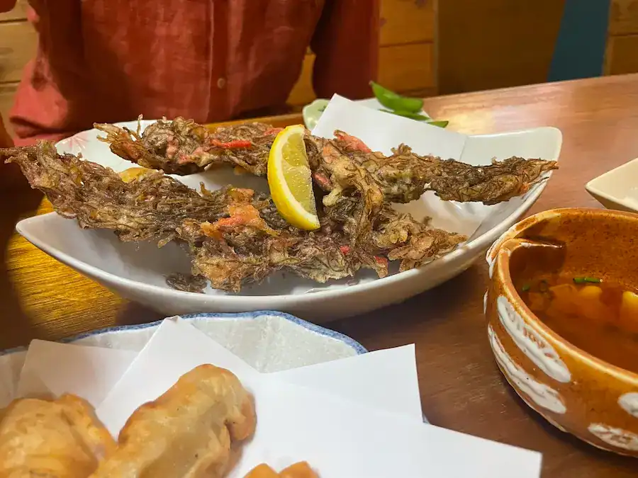 南樂 島唄ライブ